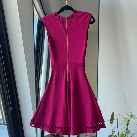 Gorgeous Ted Baker dress 1. - Picture 3 of 10